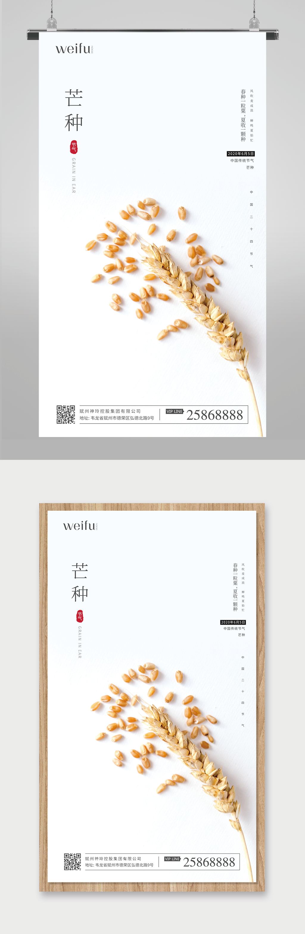 二十四节气简约小清新白色背景芒种素材