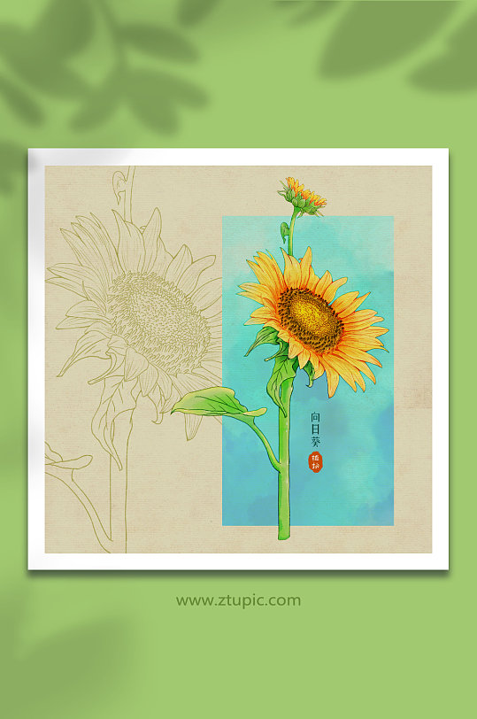 手绘水彩清新向日葵花卉元素插画