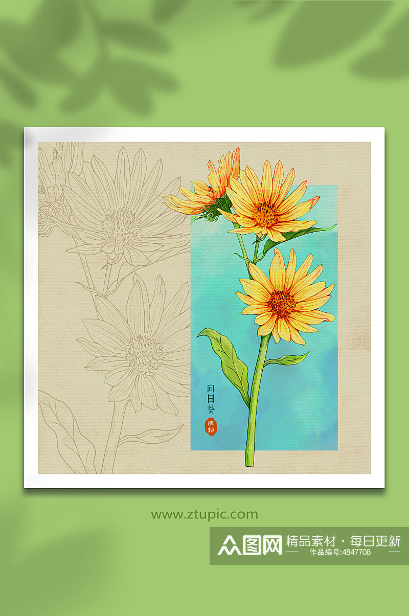 手绘水彩淡黄色向日葵花卉元素插画素材