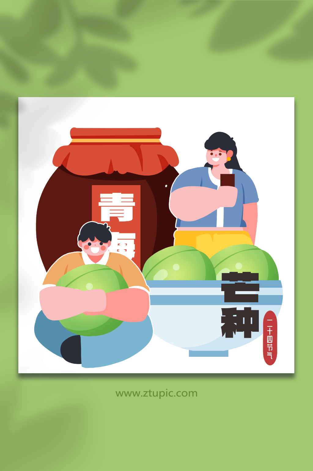 二十四节气芒种青梅酒人物插画元素素材