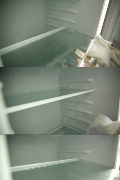 毛巾抹布擦拭清理冰箱除菌视频