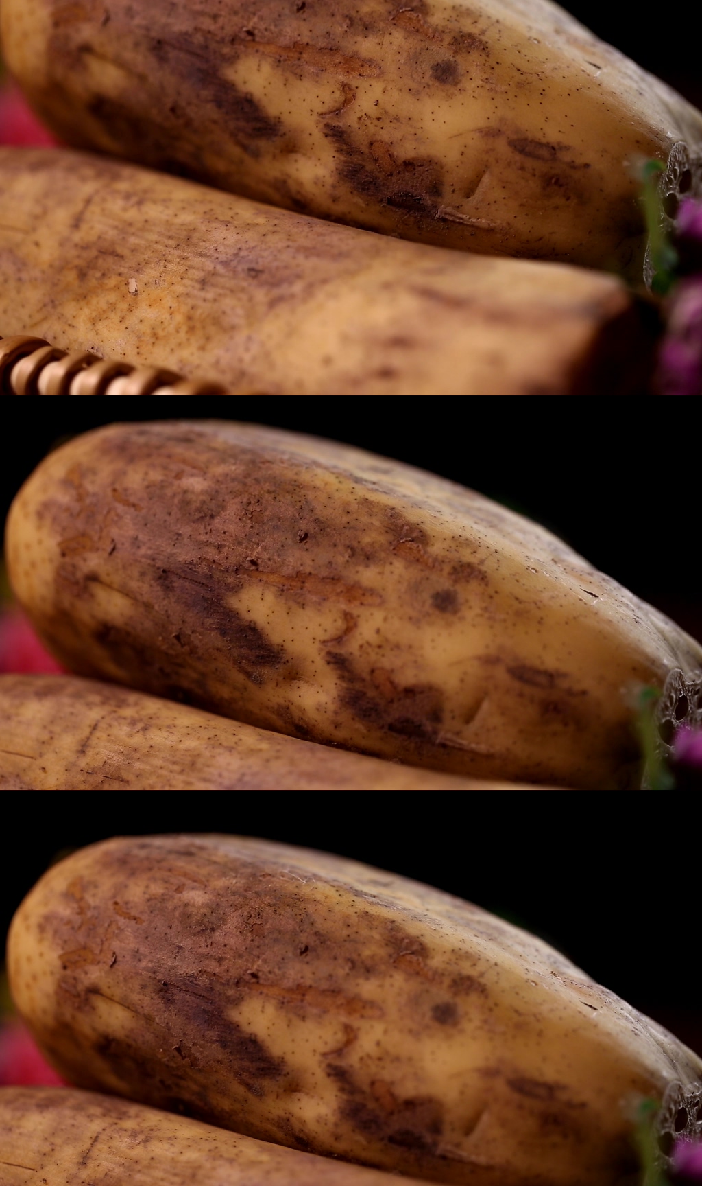 去火秋季蓮藕視頻素材