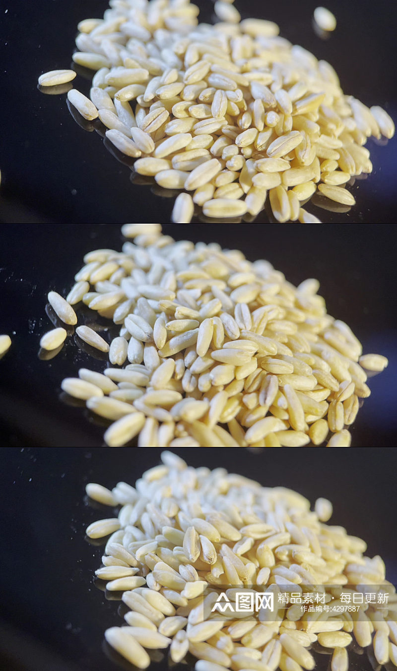 膳食纤维健康燕麦视频素材