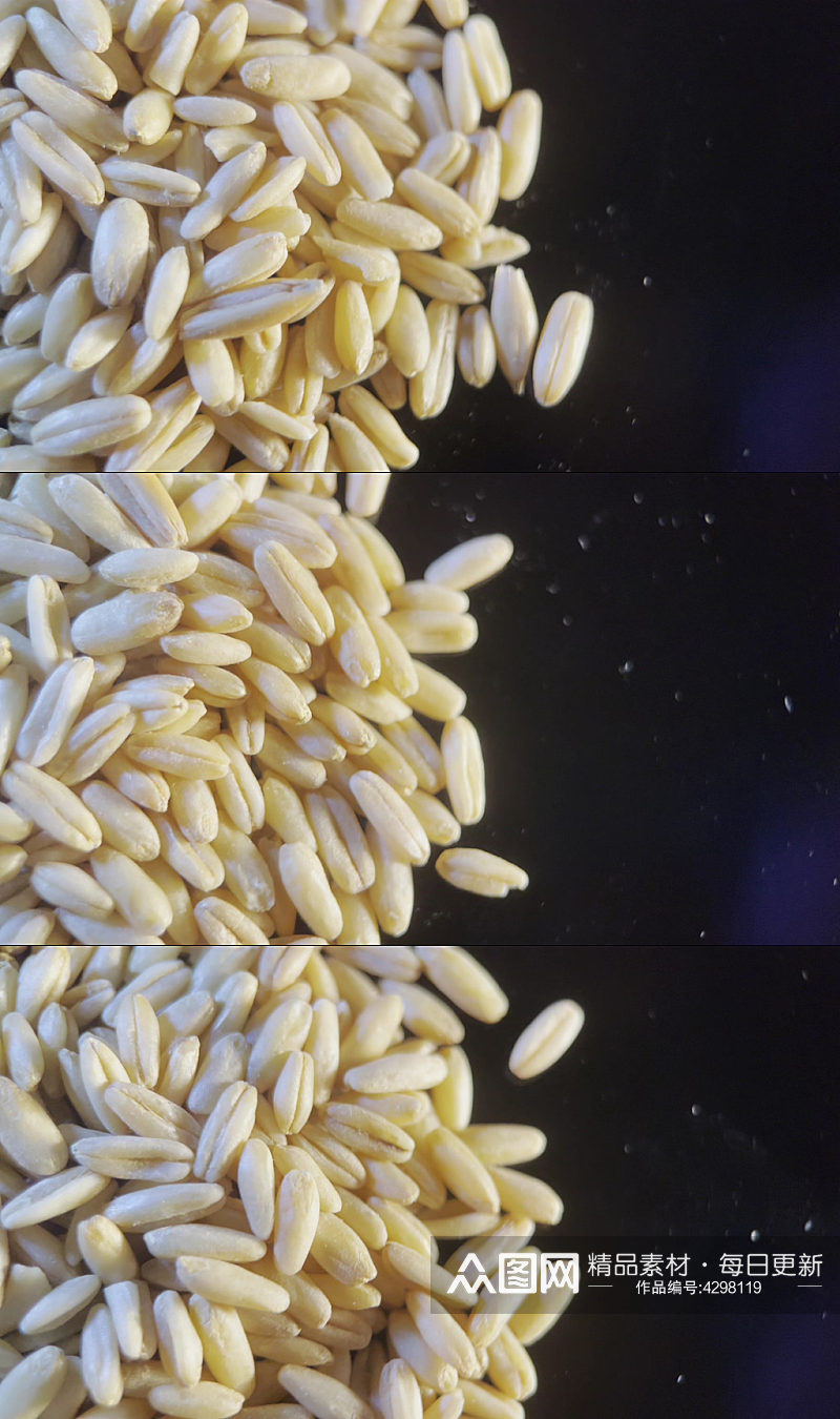 膳食纤维健康燕麦视频素材