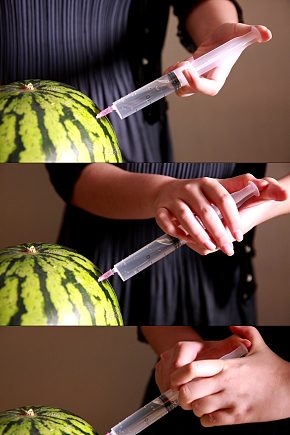 西瓜注水注射糖精实验实拍视频模板下载-编号4313458-众图网