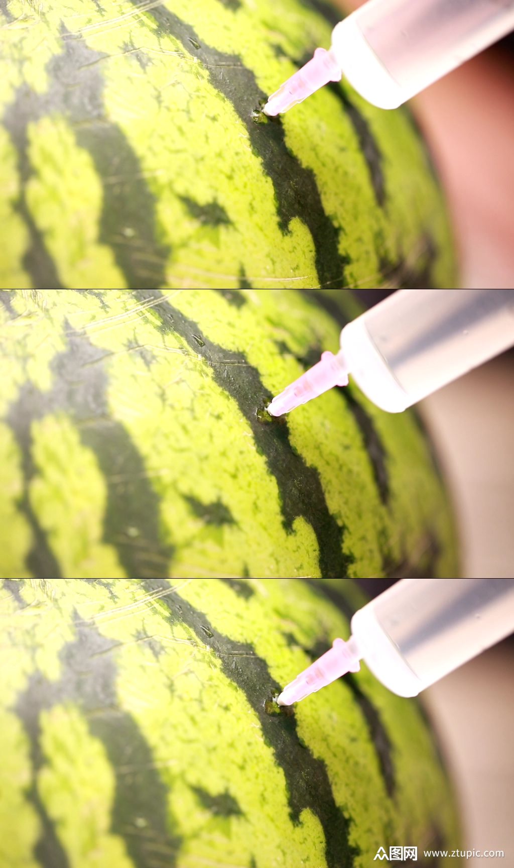 西瓜注水注射糖精实验实拍视频