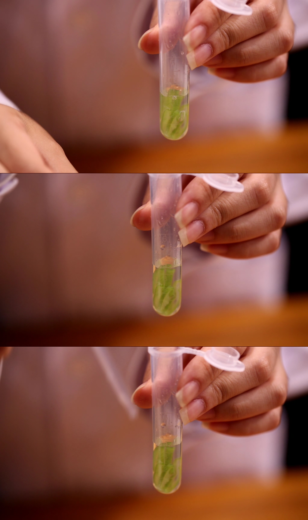 试纸素材_试纸模板_试纸设计图片免费下载-众图网