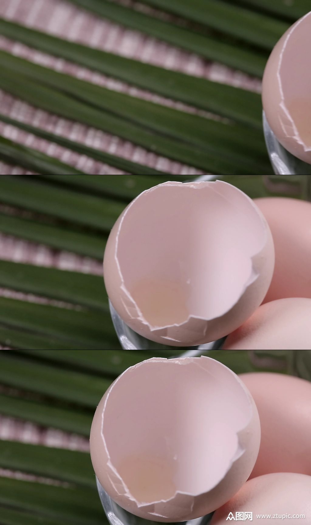 打鸡蛋蛋壳鸡蛋壳视频