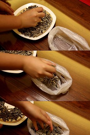 嗑瓜子剥瓜子仁吐瓜子皮视频模板下载-编号4332555-众图网