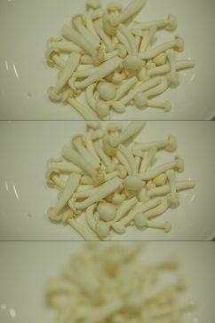 蟹味菇海鲜菇白玉菇视频
