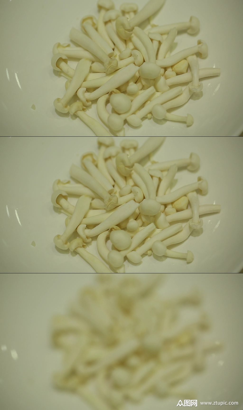蟹味菇海鲜菇白玉菇视频素材