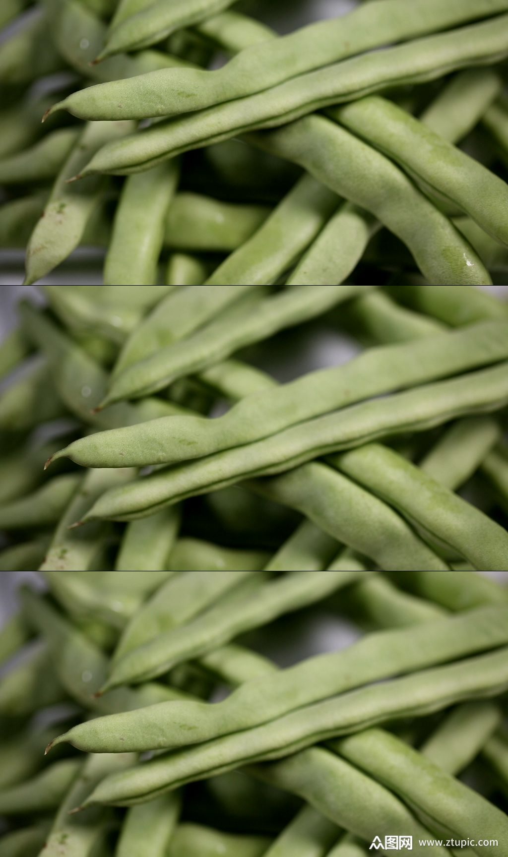 东北特产圆豆角实拍素材