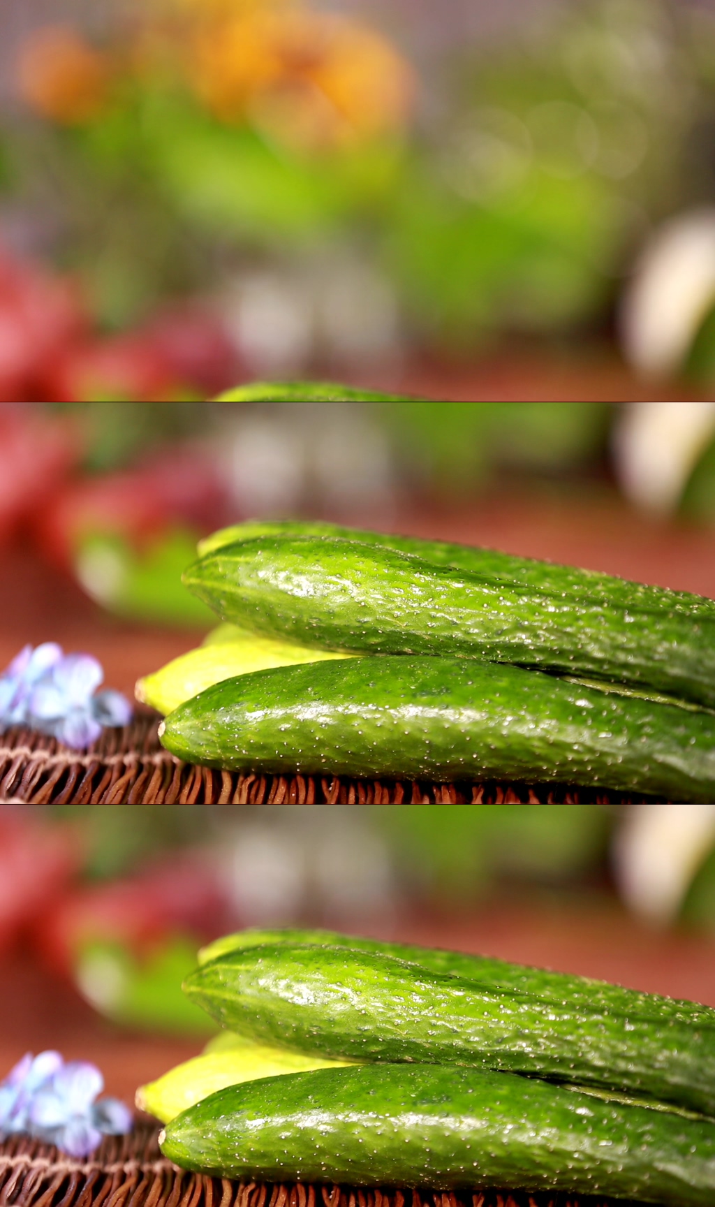 時蔬蔬菜秋季黃瓜視頻素材