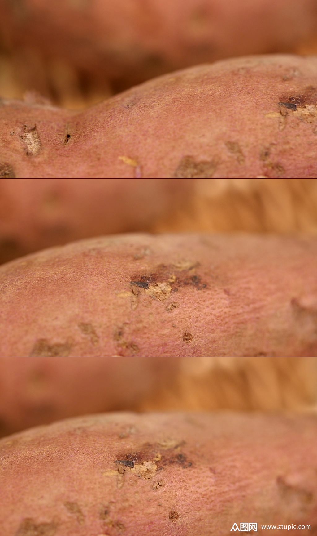 长黑斑发芽的红薯白薯视频素材