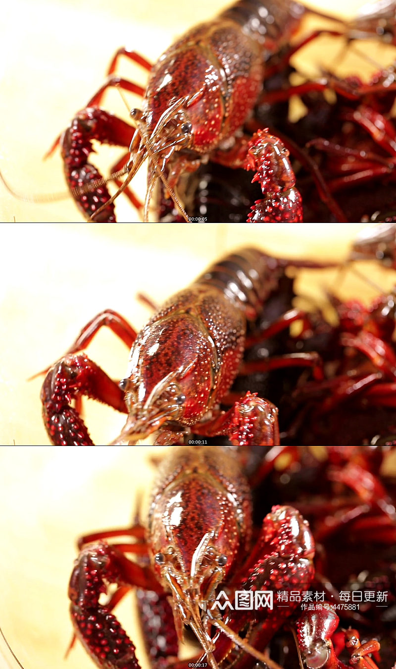 购买流行大排档美食小龙虾视频素材