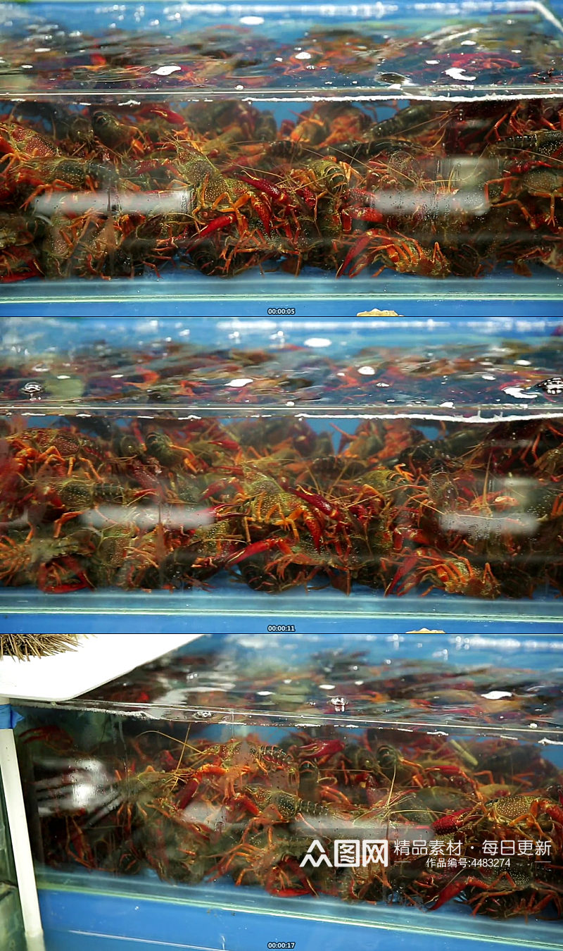 水产市场商贩卖小龙虾实拍素材
