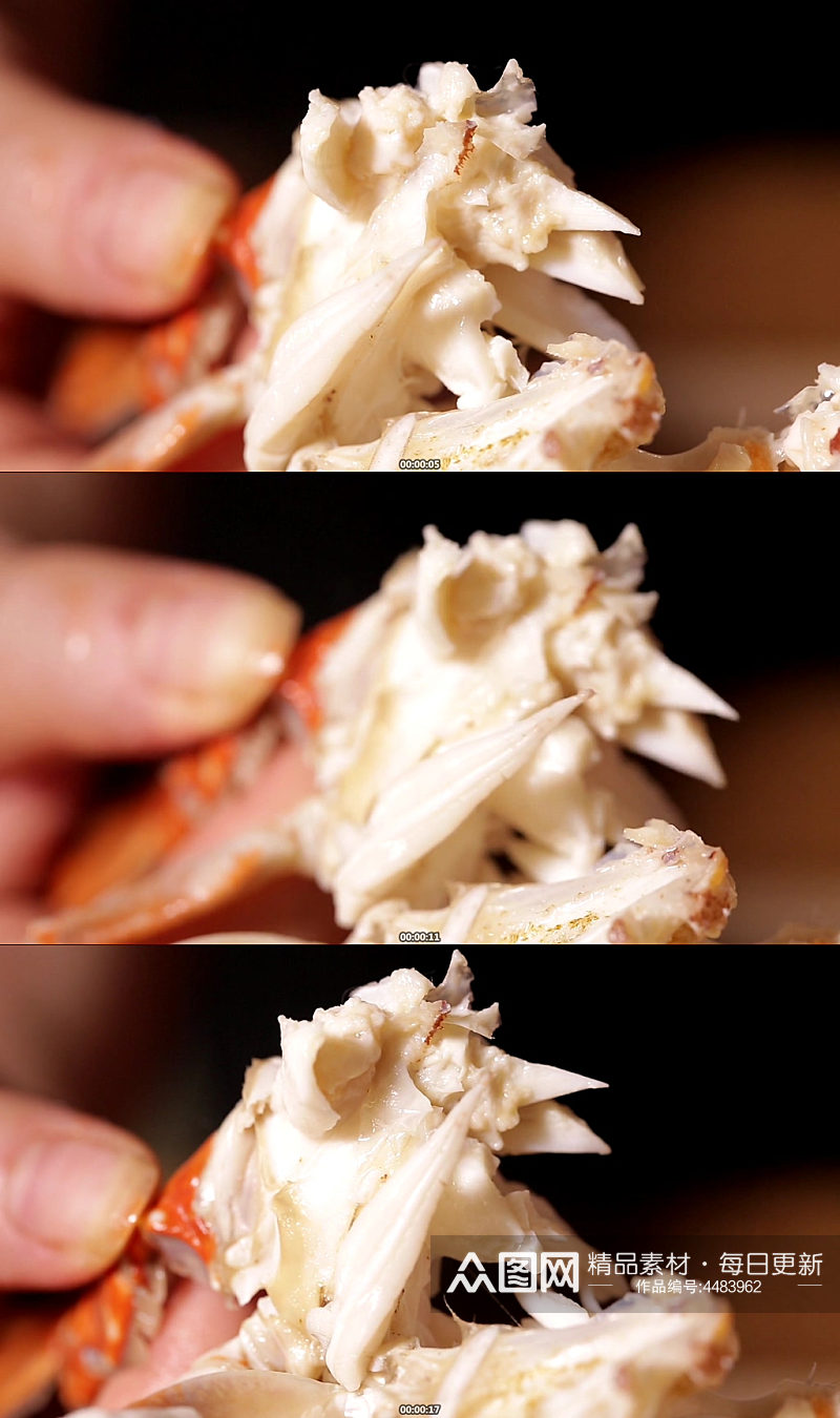 蟹脐特写螃蟹腹部视频素材