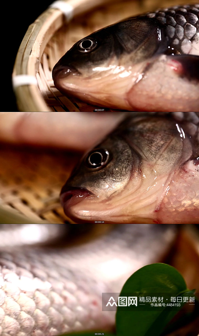 鱼鳃鱼眼睛鱼头特写素材