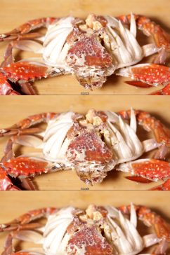 拆水蟹掰开梭子蟹壳实拍