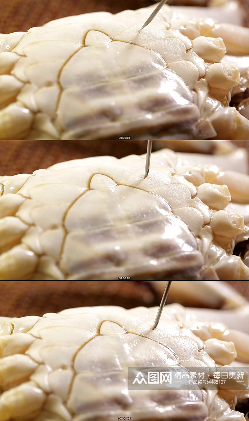 蟹脐特写螃蟹腹部实拍素材