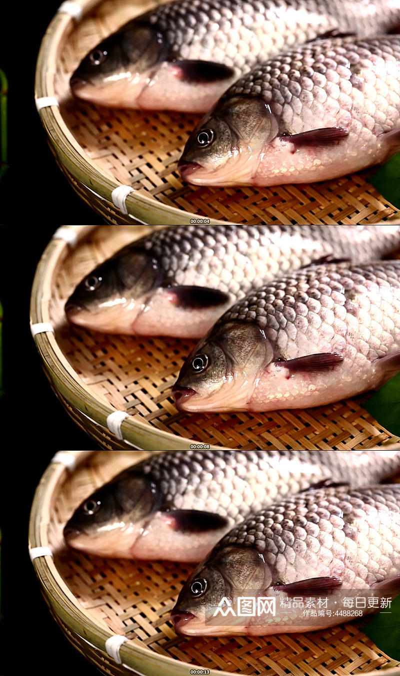 鱼鳃鱼眼睛鱼头特写实拍素材