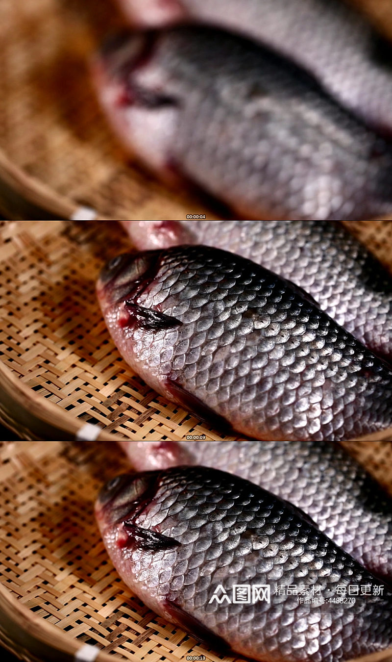鱼鳃鱼眼睛鱼头特写视频素材