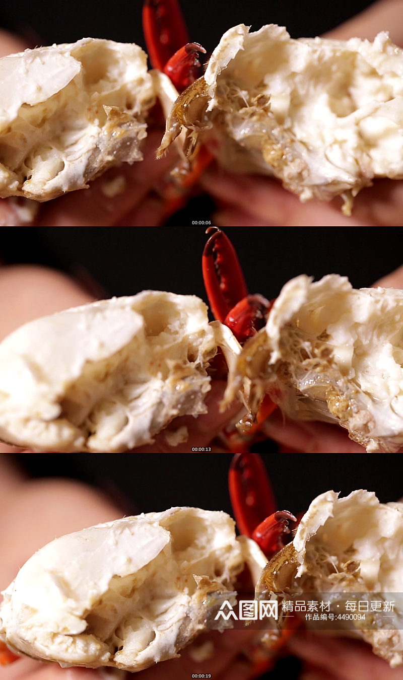 吃螃蟹掰开梭子蟹素材