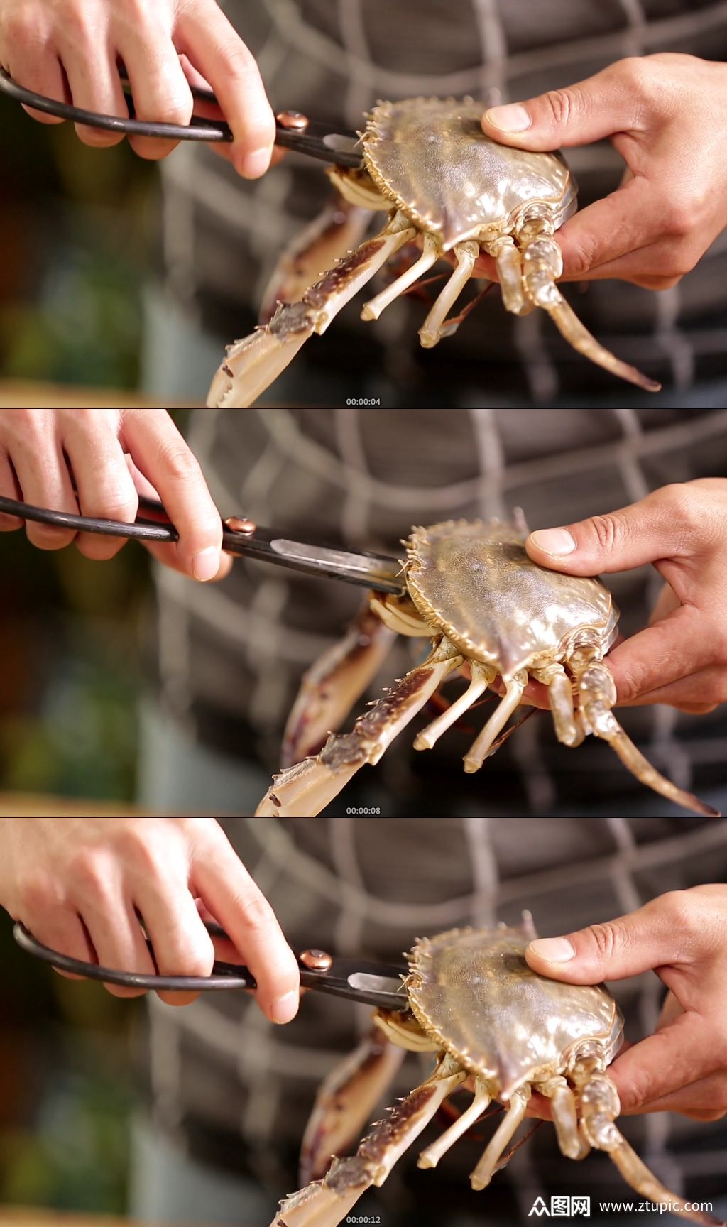 处理梭子蟹去蟹腮内脏素材
