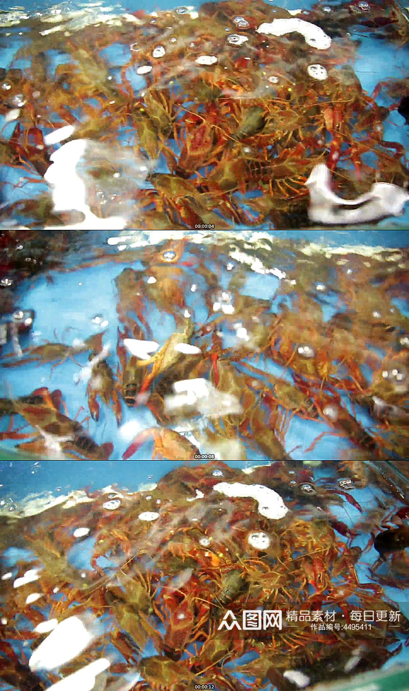 水产市场商贩卖小龙虾实拍素材