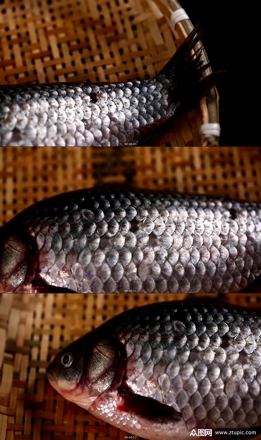 鱼鳞鱼皮鲫鱼实拍素材