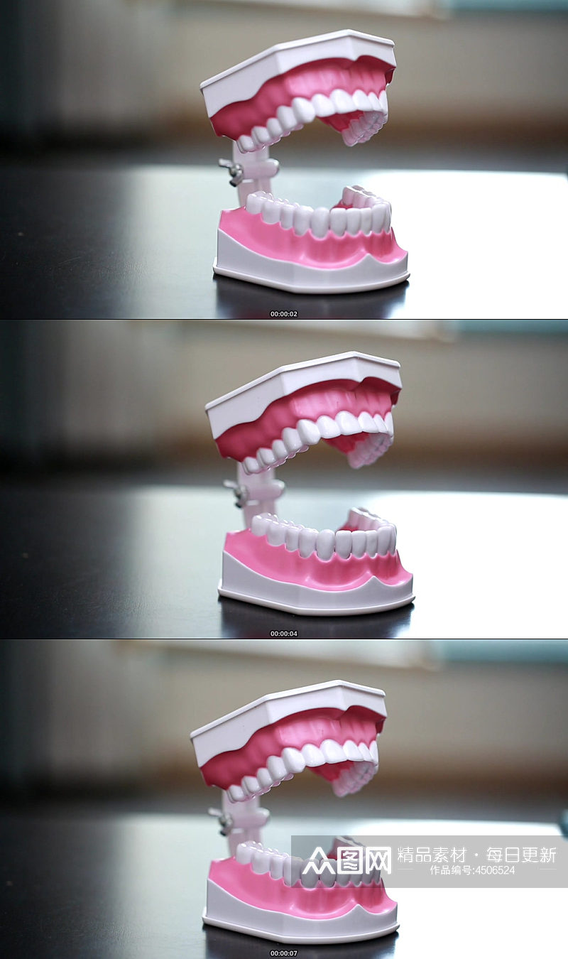 牙齿模型演示刷牙方法视频素材