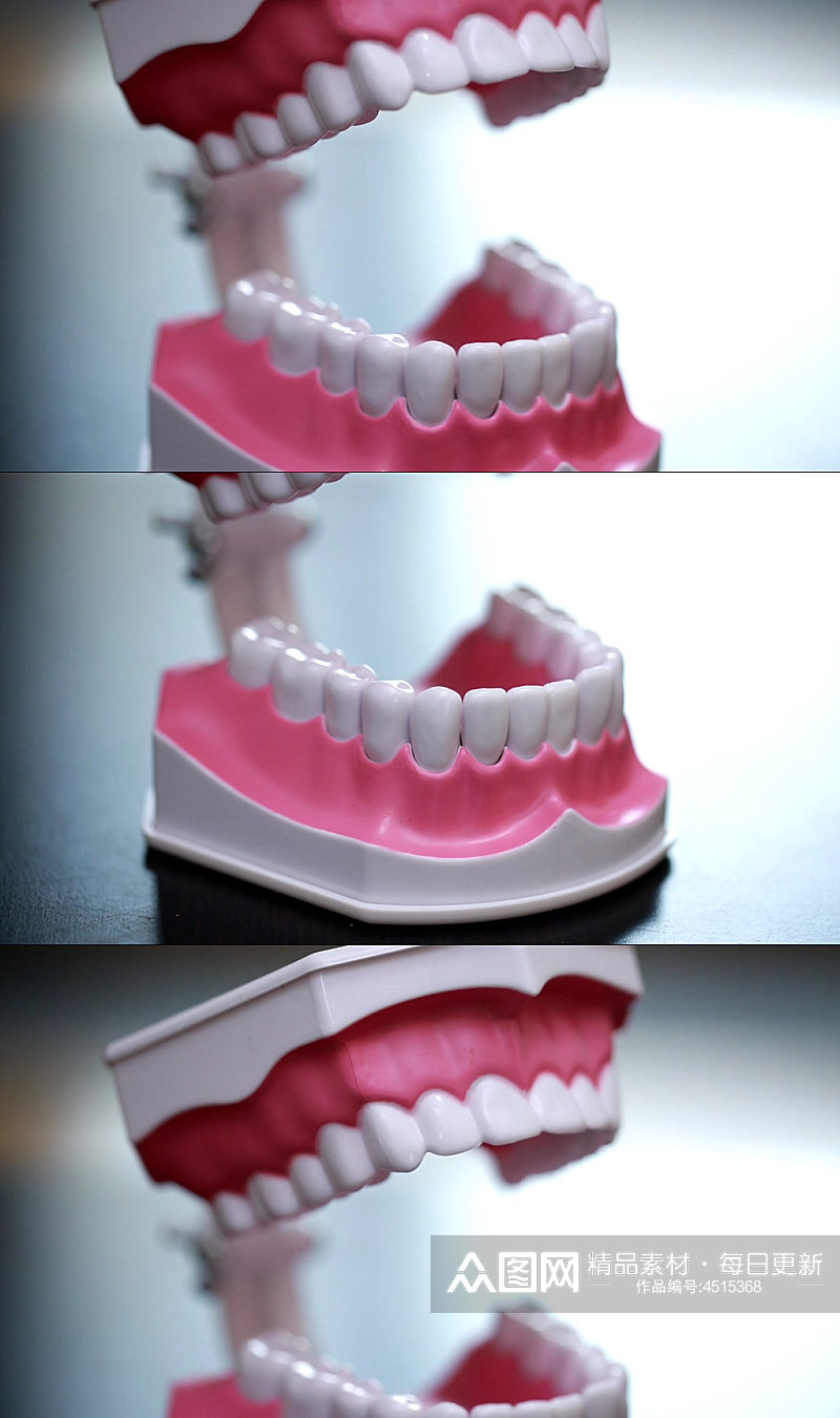 牙齿模型演示刷牙方法素材