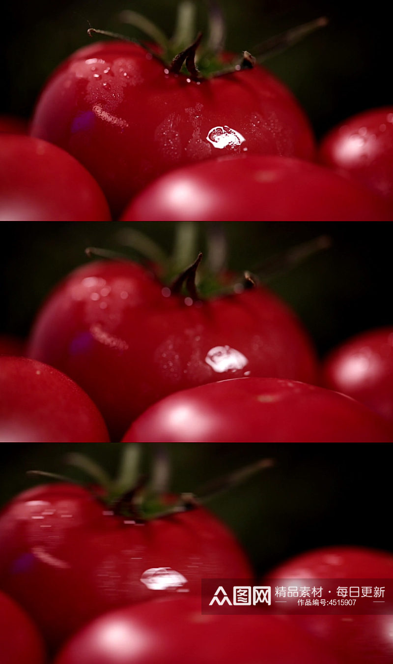 成熟的西红柿实拍视频素材