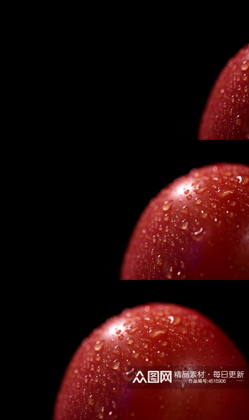 成熟的西红柿实拍视频素材