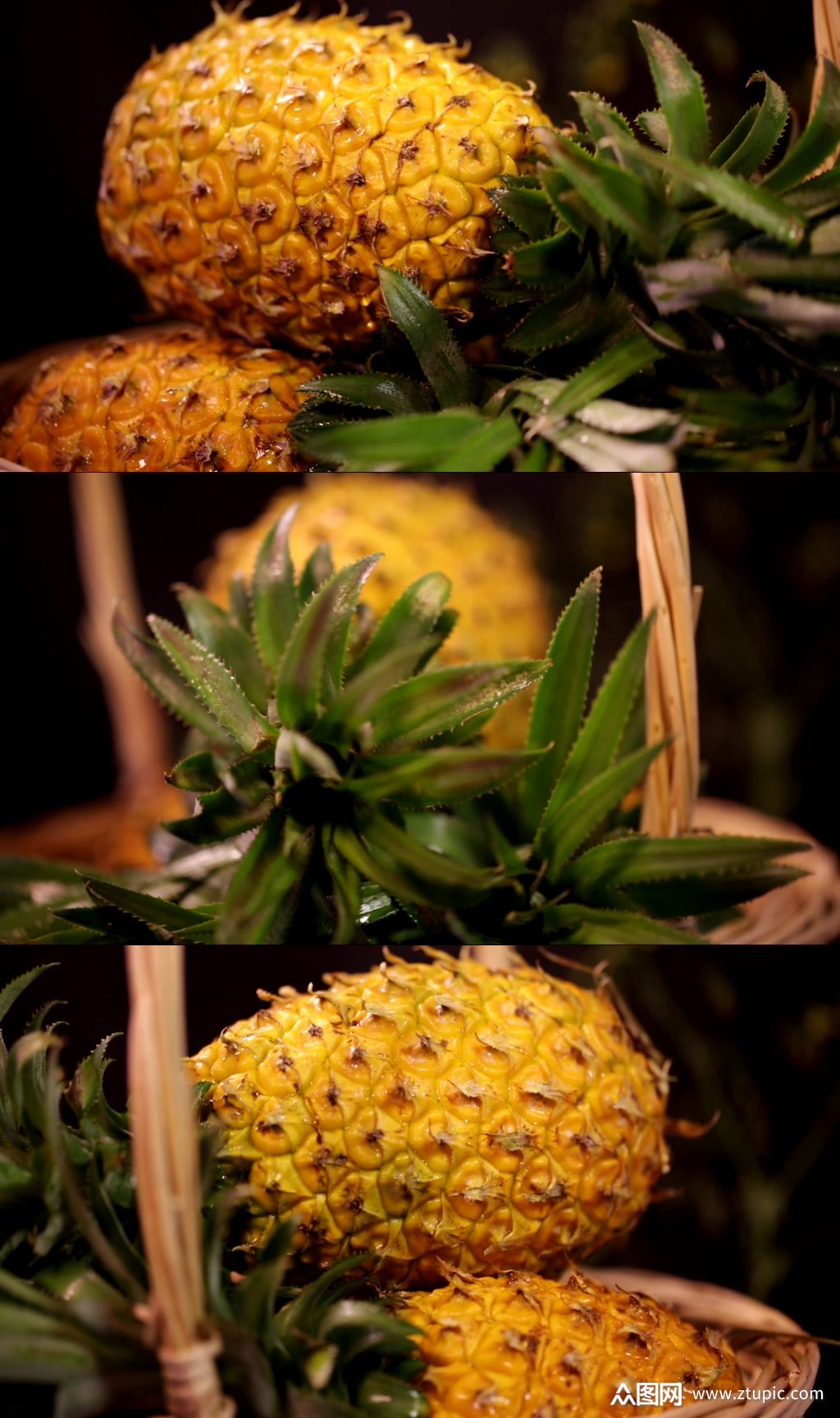 水果菠萝凤梨的各部分素材
