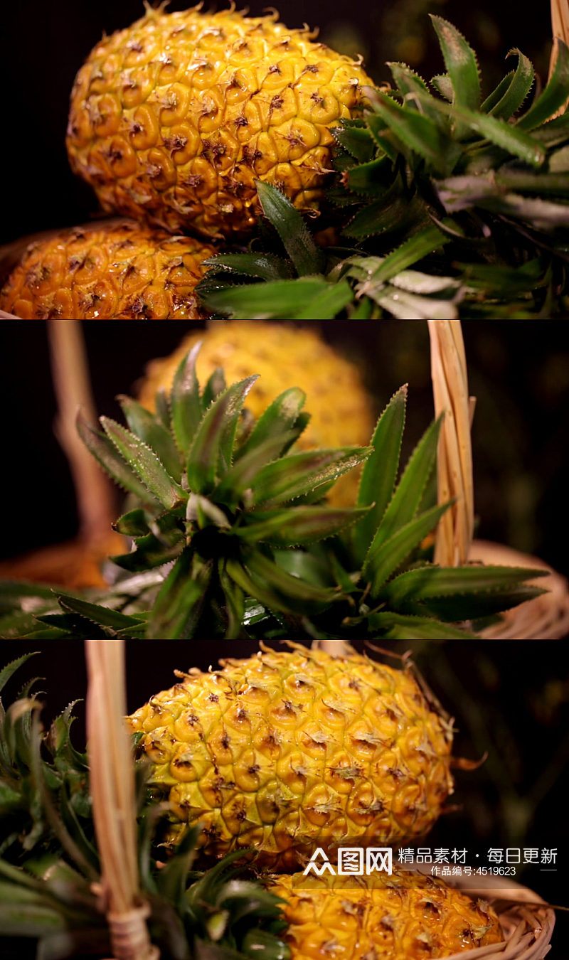 水果菠萝凤梨的各部分素材
