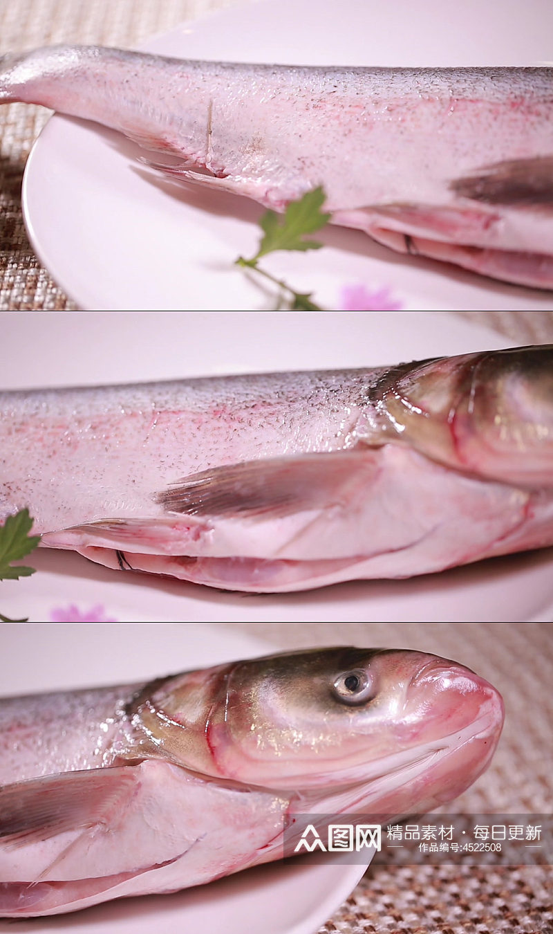 白鲢鱼大头鱼胖头鱼素材