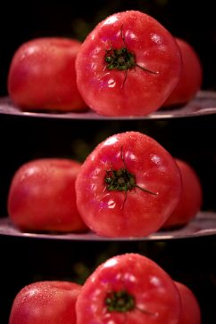 成熟的西红柿实拍视频