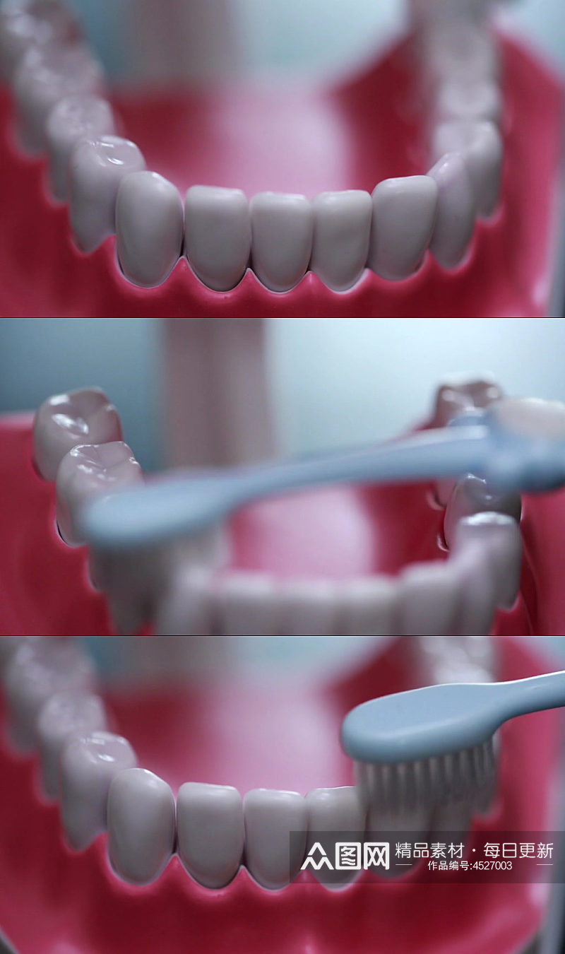 牙齿模型演示刷牙方法实拍素材