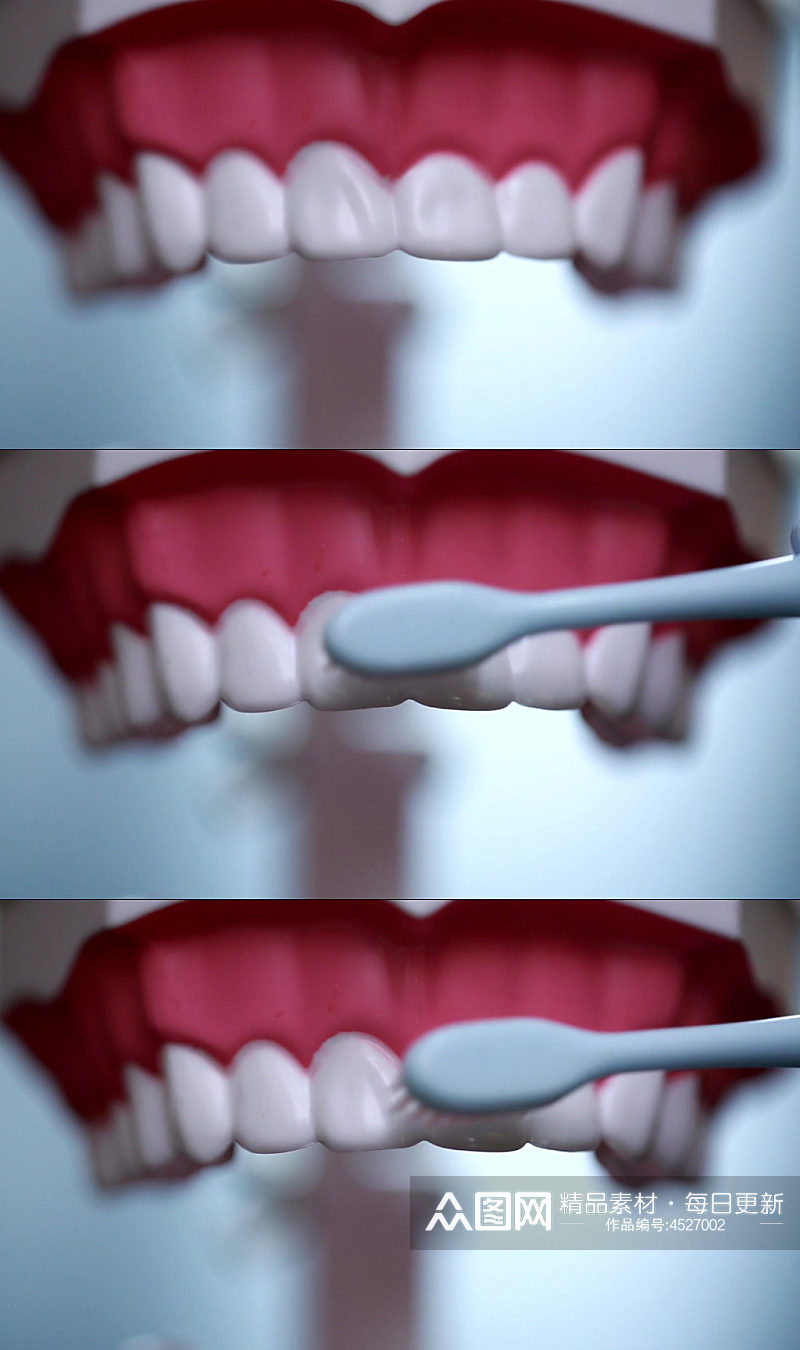 牙齿模型演示刷牙方法视频素材