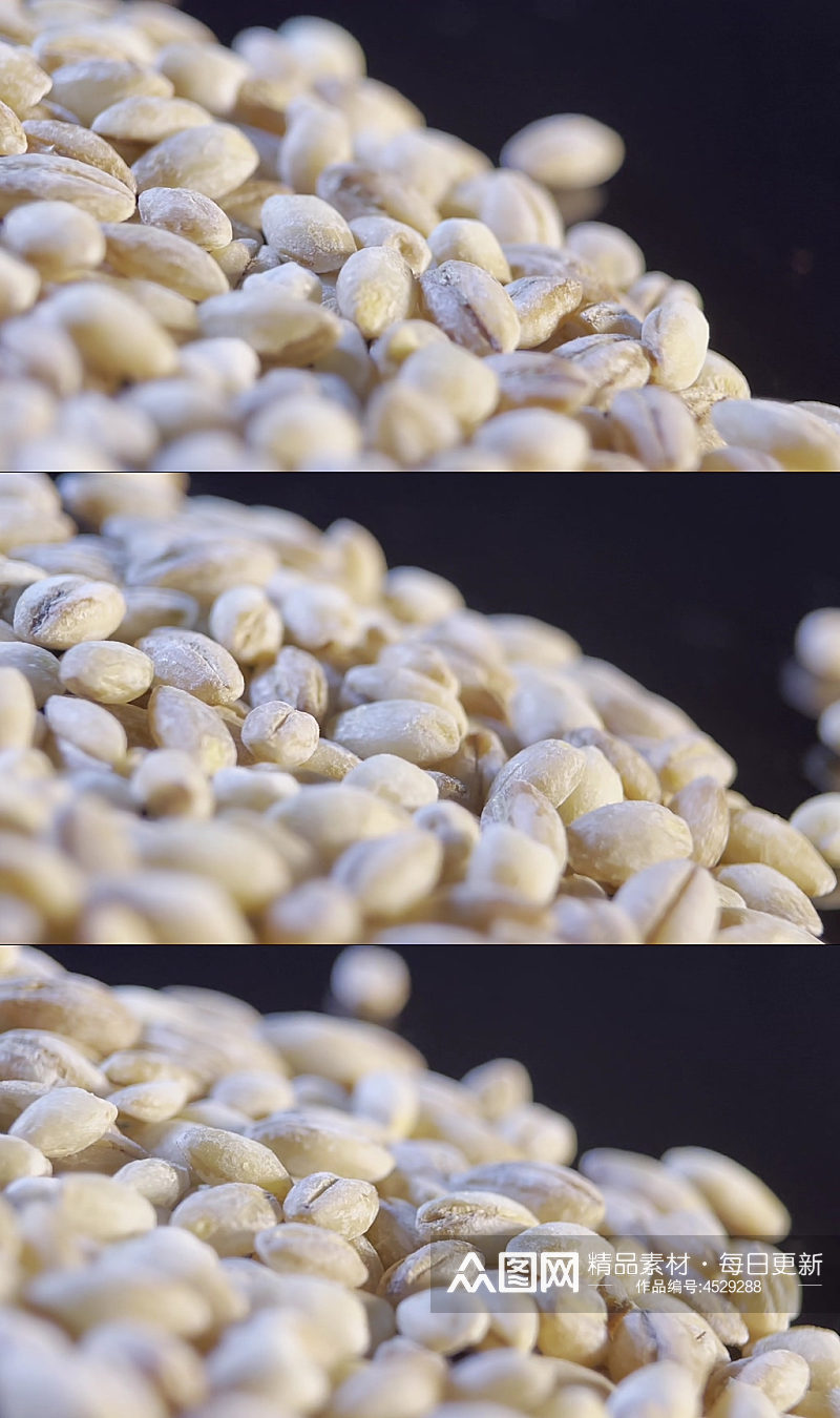 大麦胚芽种子视频素材