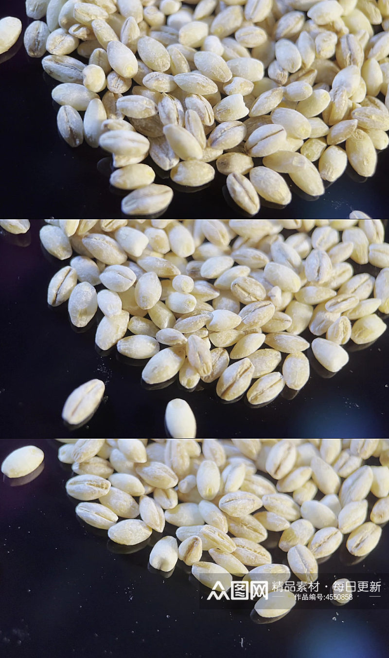 微距大麦麦子颗粒实拍素材
