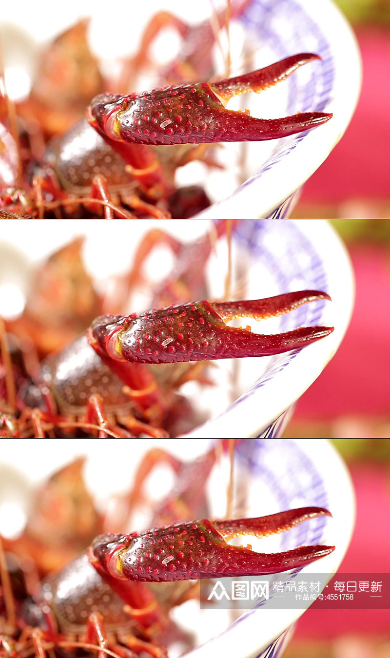 新鲜的鲜活大号小龙虾实拍素材