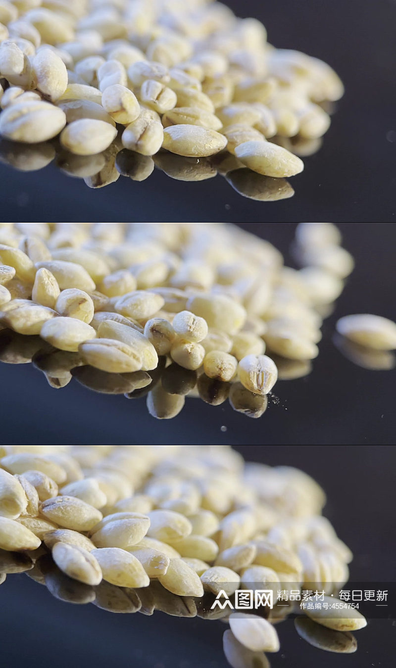 大麦胚芽种子视频素材