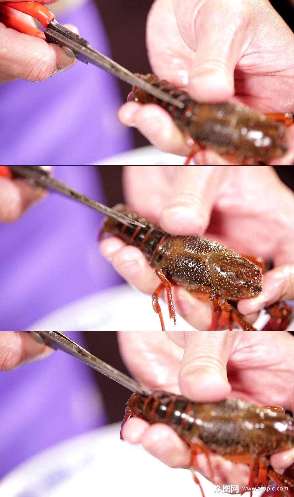 如何给小龙虾去虾线视频素材