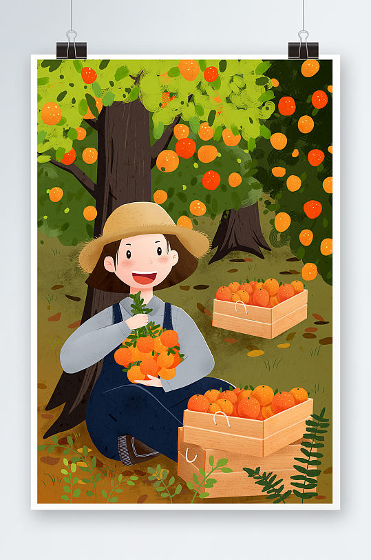 立秋节气摘橘子的小女孩人物插画