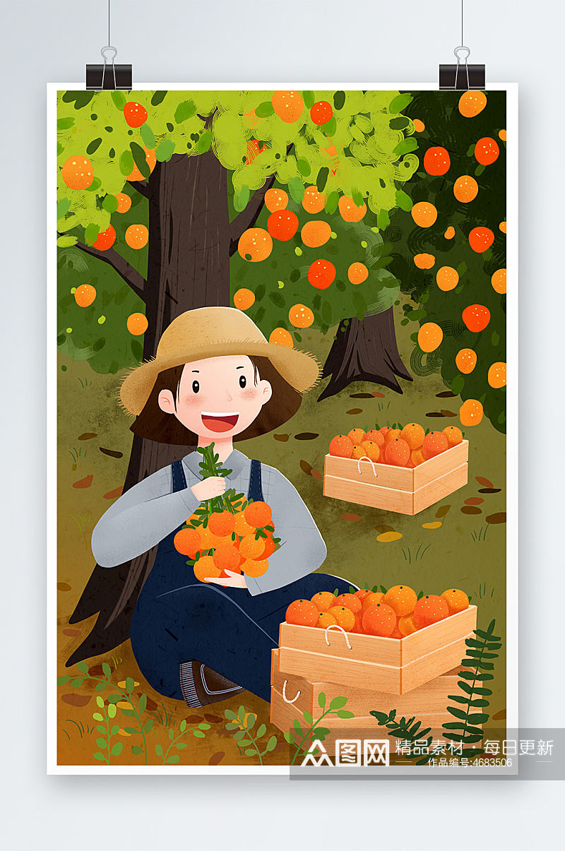 立秋节气摘橘子的小女孩人物插画素材