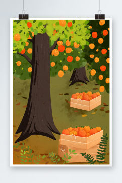 立秋橘子果树背景