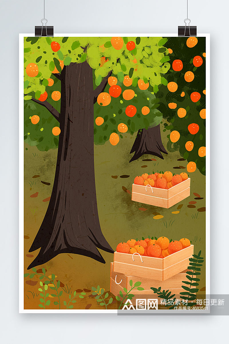 立秋橘子果树背景素材