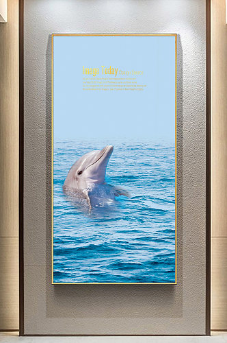 跳跃的海豚蓝色白云沙滩